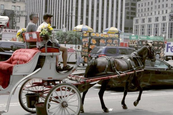 A white carriage being pulled by a horse past a hot dog cart